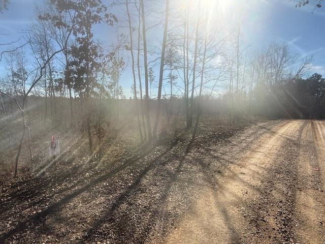 a view of backyard with green space