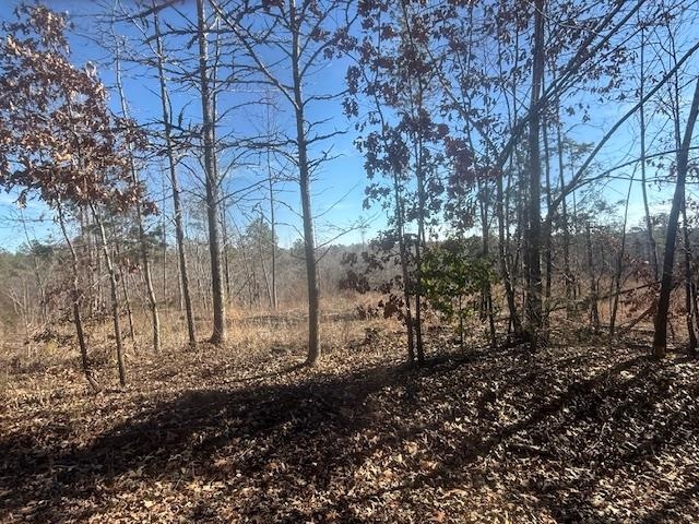4 George Walter Road Bolivar, TN 38008 - Photo 12 of 19 a backyard of a house with lots of green space