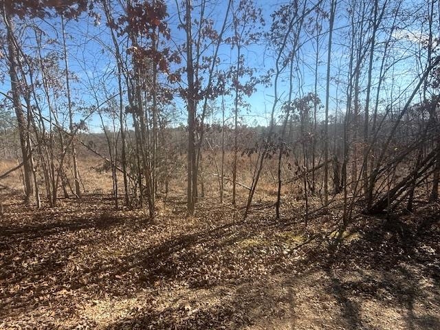4 George Walter Road Bolivar, TN 38008 - Photo 13 of 19 a backyard of a house with lots of green space