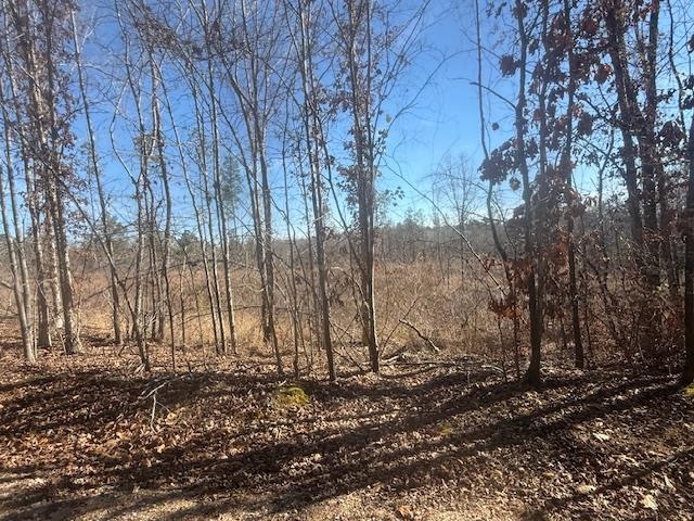 4 George Walter Road Bolivar, TN 38008 - Photo 15 of 19 a view of a backyard
