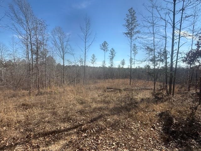 4 George Walter Road Bolivar, TN 38008 - Photo 7 of 19