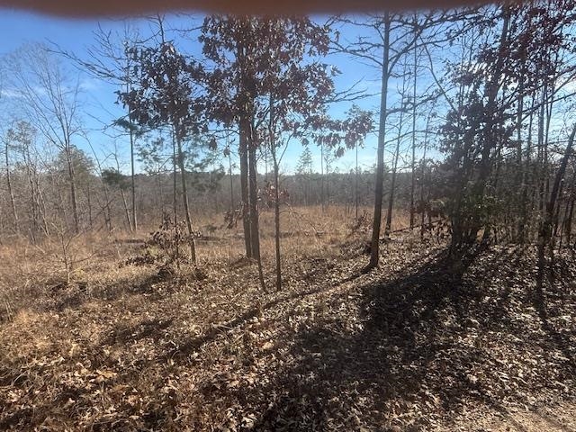 4 George Walter Road Bolivar, TN 38008 - Photo 9 of 19 a view of a forest filled with trees