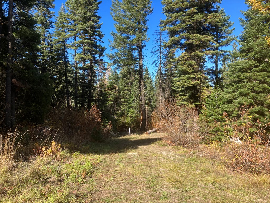 541 West Mountain Road, Unit 58 Cascade, ID 83611 - Photo 6 of 9 View From Back o fLot