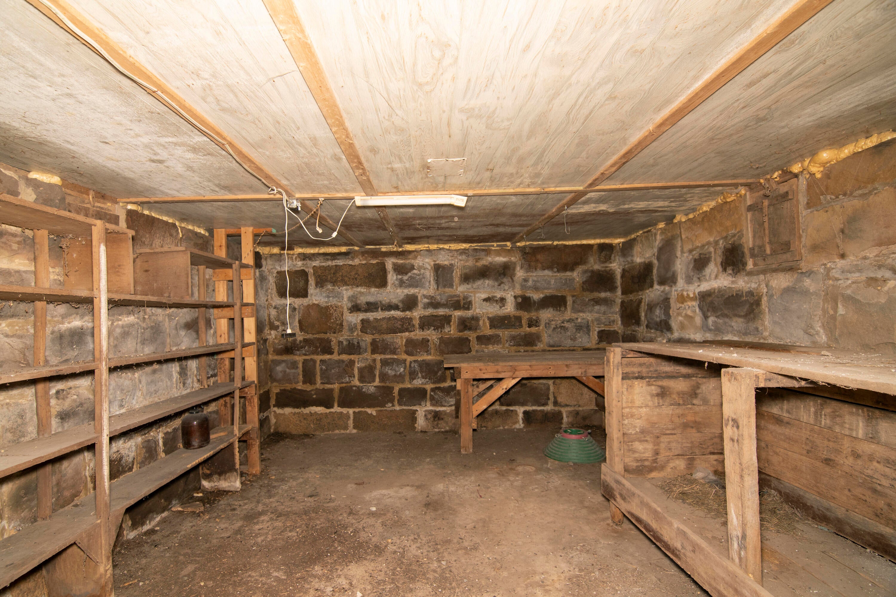 2561 Morris Branch Road Meadow Bridge, WV 25976 - Photo 20 of 55 Cellar interior