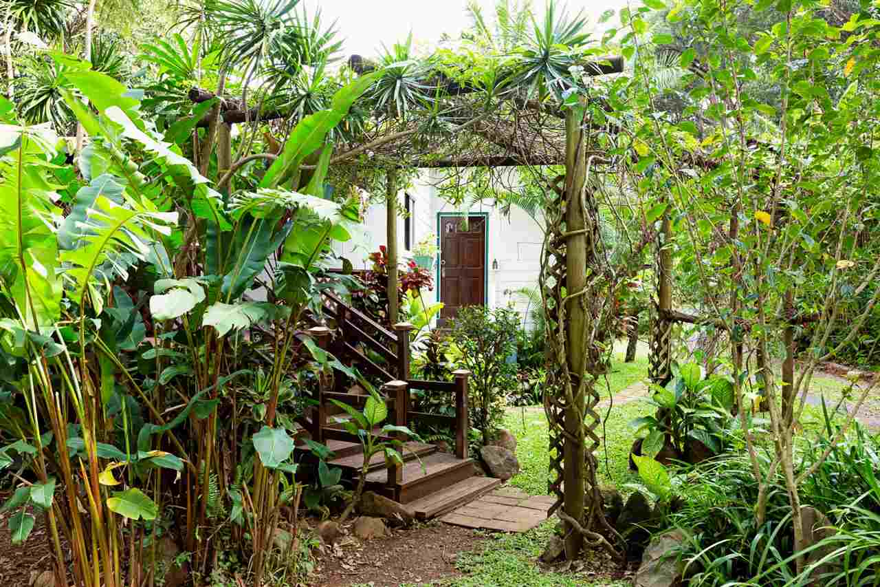 2050 Kaupakalua Road Haiku, HI 96708 - Photo 8 of 22 Gallery Image 8