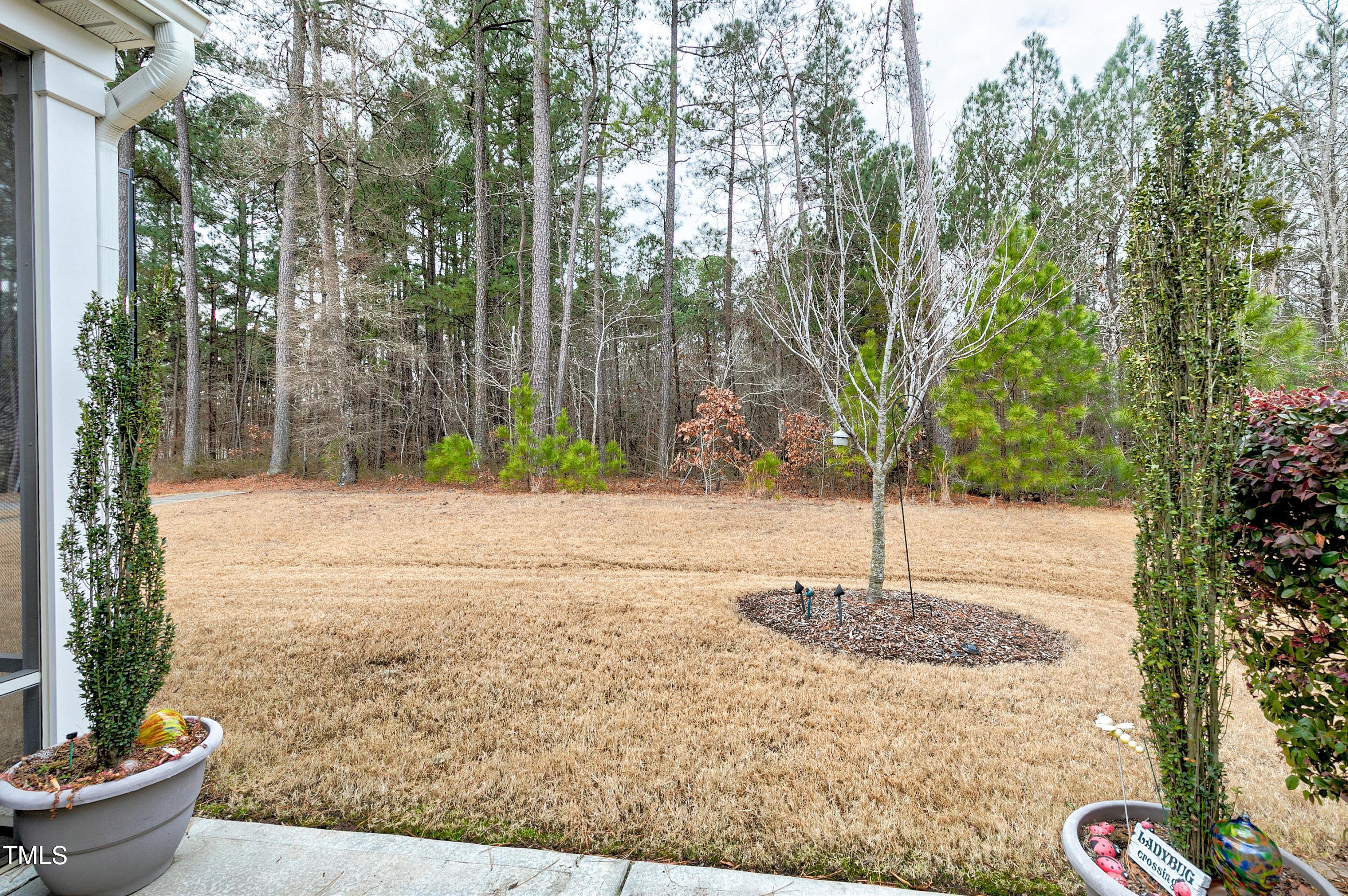 603 Tuttle Road Durham, NC 27703 - Photo 46 of 53 Scene-46