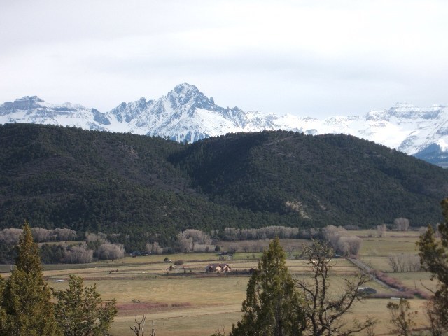 Lot 7 Promontories Drive Ridgway, CO 81432 - Photo 4 of 7