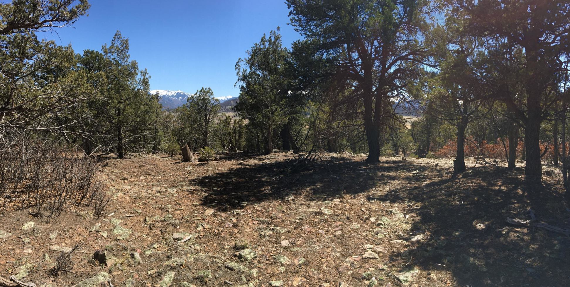 Lot 7 Promontories Drive Ridgway, CO 81432 - Photo 6 of 7 a view of outdoor space with trees