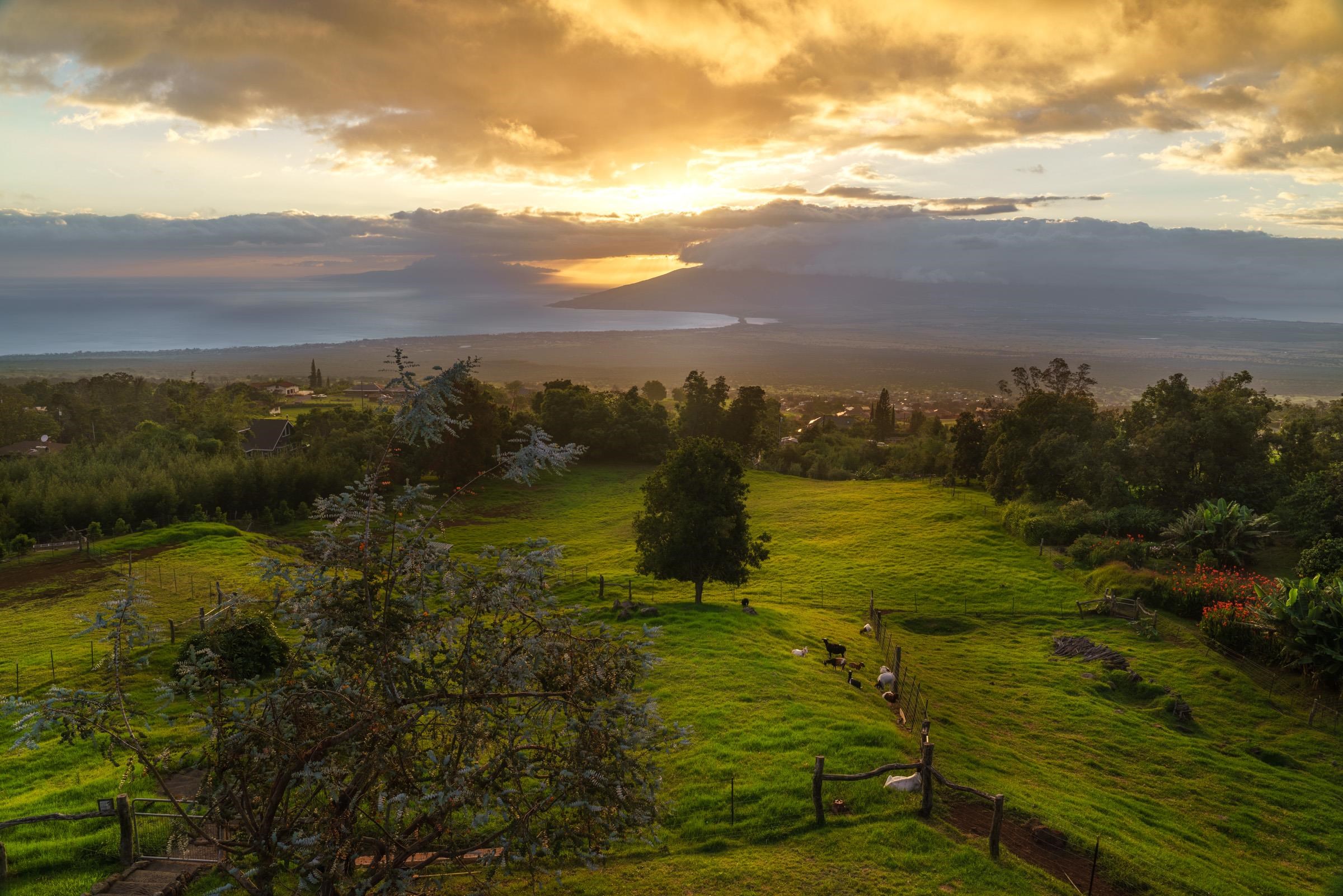610 Polipoli Road Kula, HI 96790 - Photo 41 of 48