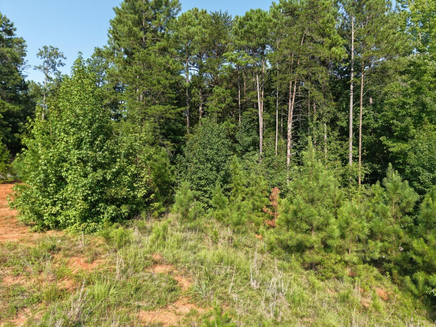 3096 State Rd S-20-33, Unit 3 Blair, SC 29015 - Photo 7 of 19 DJI_20260811172214_0313_D (Large)