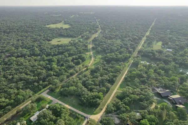 a view of a forest with beach