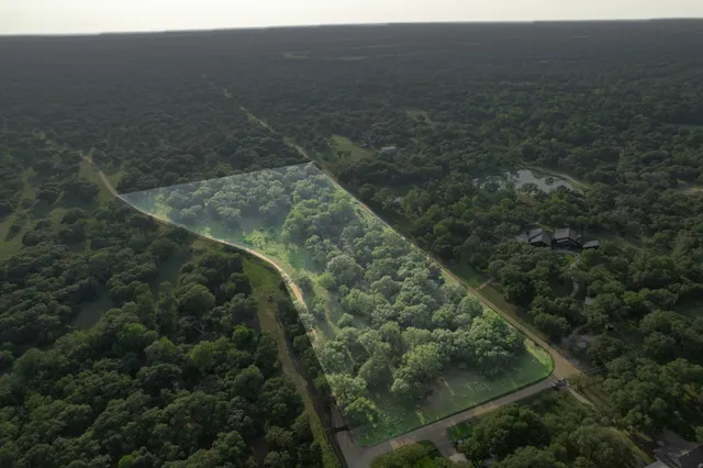 a view of a dry yard