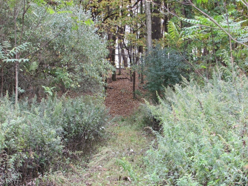 0 Clark Road Sussex, NJ 07461 - Photo 5 of 16