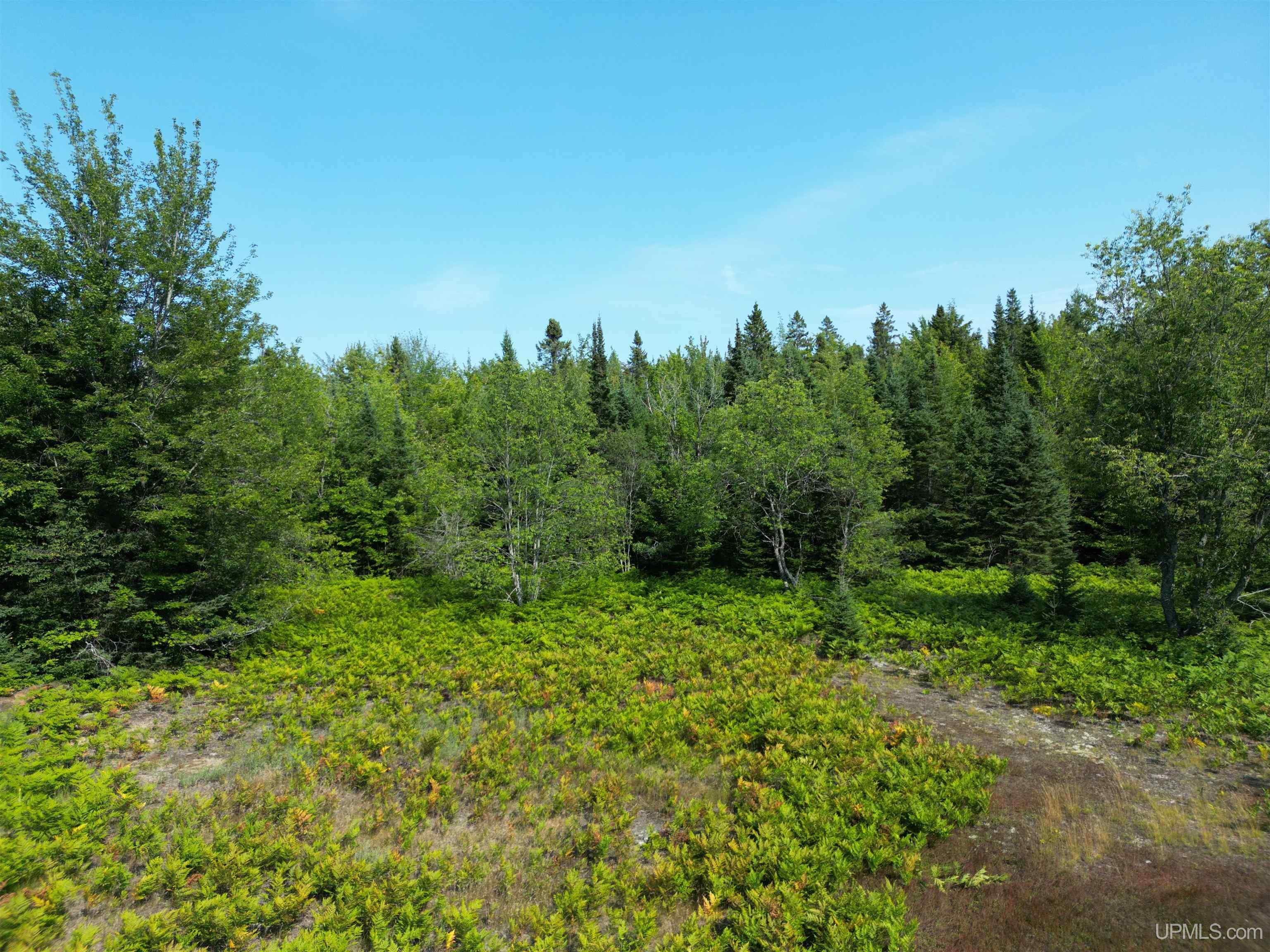 Tbd Tbd Ridge Road Munising, MI 49862 - Photo 3 of 33 Gallery Image 3