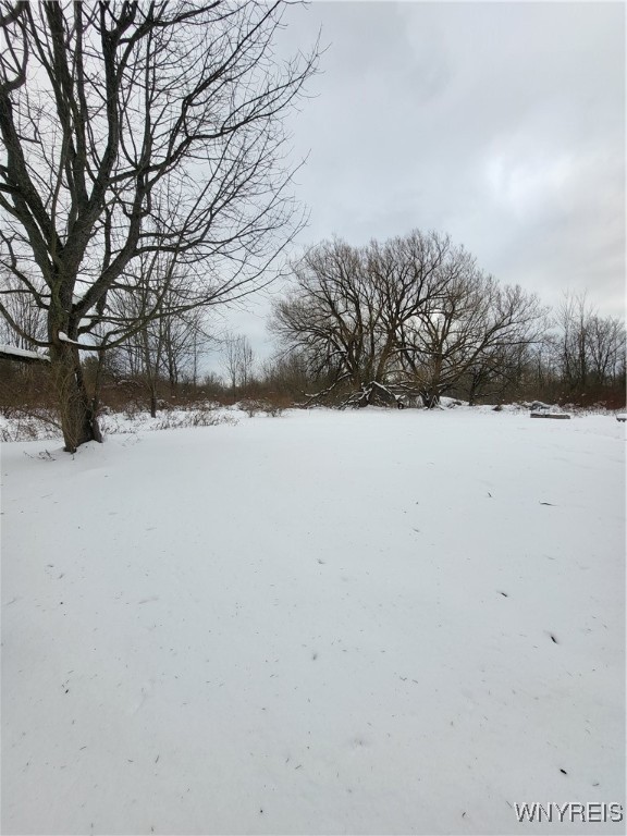 10450 Beech Tree Road Ashford, NY 14171 - Photo 19 of 22