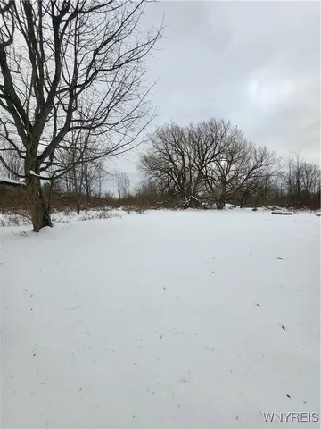 $130,000 | 10450 Beech Tree Road, Ashford, NY 14171