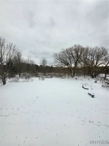 $130,000 | 10450 Beech Tree Road, Ashford, NY 14171