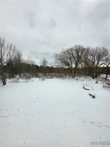 $130,000 | 10450 Beech Tree Road, Ashford, NY 14171