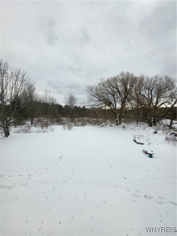 10450 Beech Tree Road Ashford, NY 14171 - Photo 20 of 22