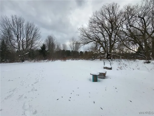 $130,000 | 10450 Beech Tree Road, Ashford, NY 14171