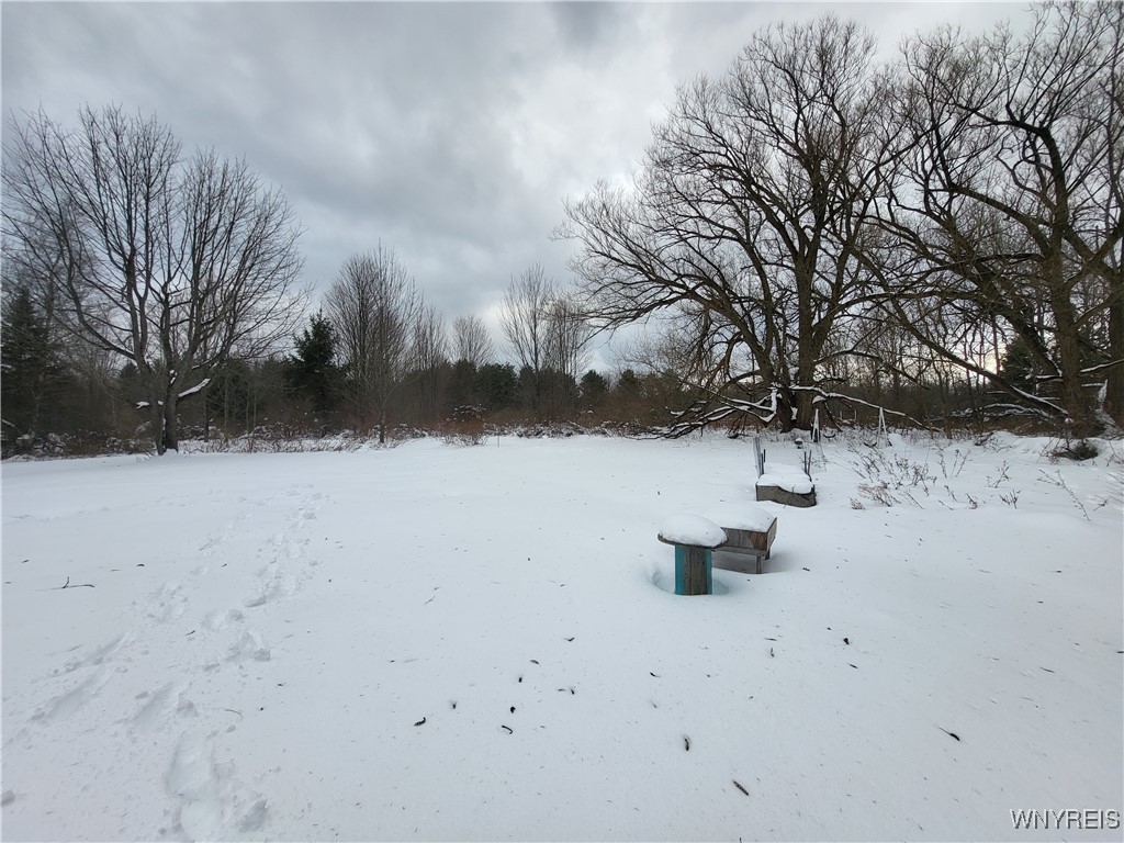 10450 Beech Tree Road Ashford, NY 14171 - Photo 21 of 22