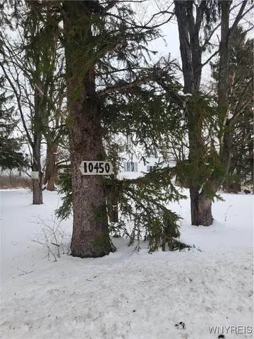 $130,000 | 10450 Beech Tree Road, Ashford, NY 14171