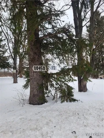 $130,000 | 10450 Beech Tree Road, Ashford, NY 14171