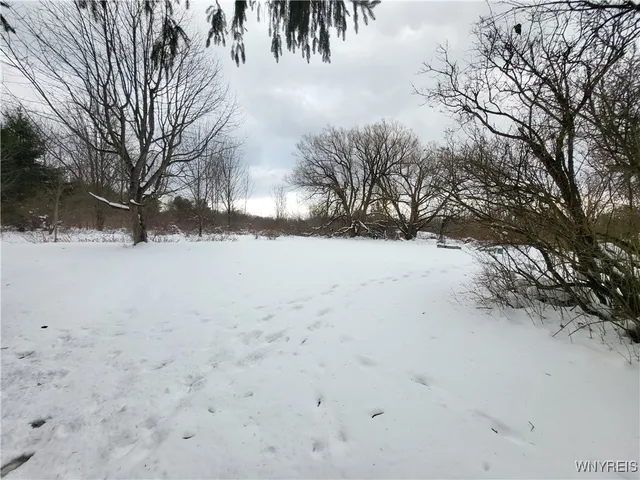 $130,000 | 10450 Beech Tree Road, Ashford, NY 14171