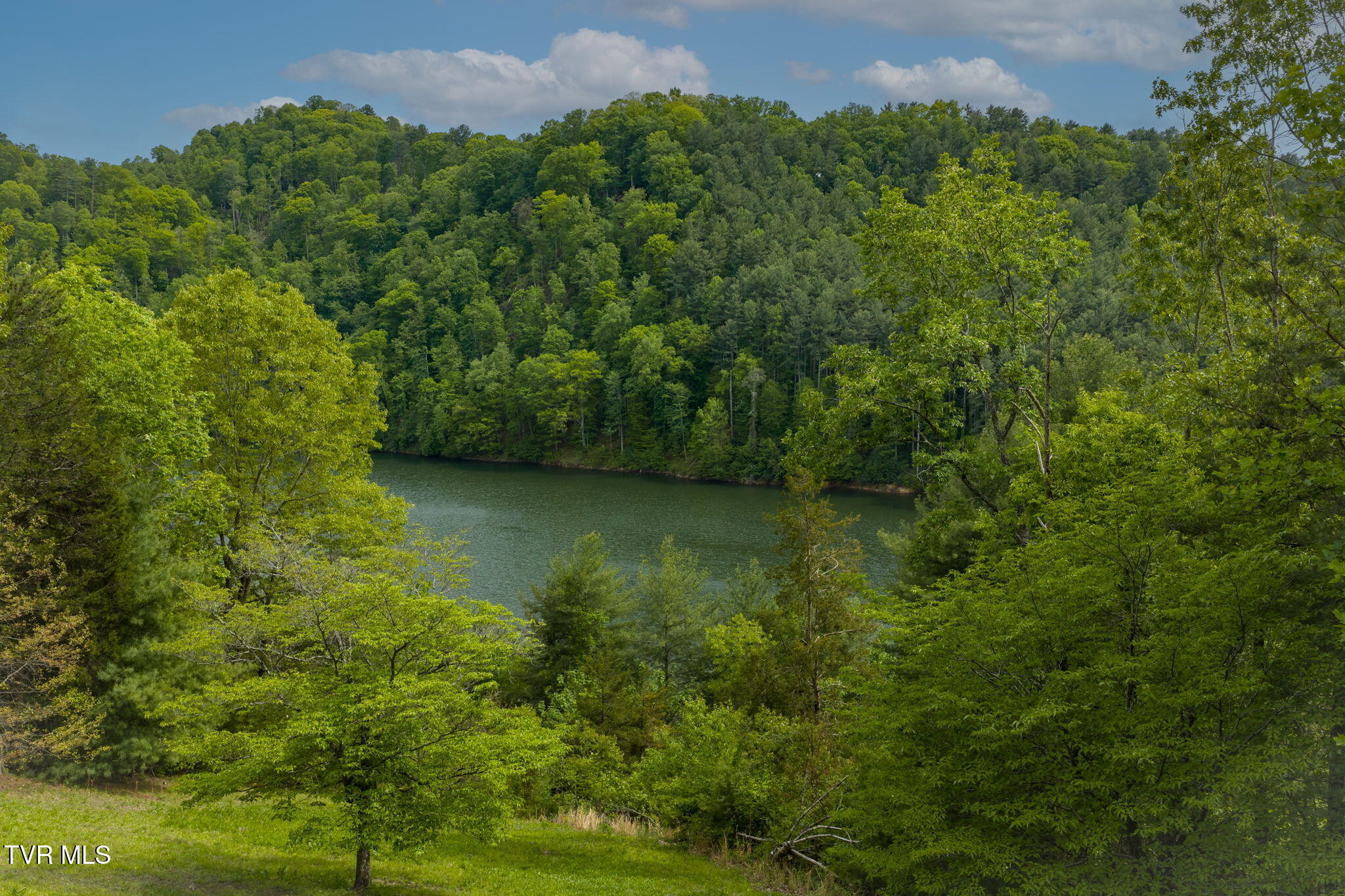 115 Lonesome Pine Trail Butler, TN 37640 - Photo 15 of 57 21-web-or-mls-DJI_20260505155944_0207_D