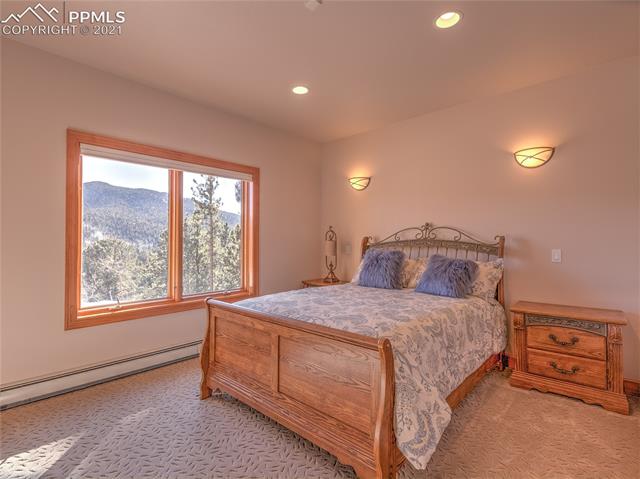 800 Elk Ridge Rd Divide Divide, CO 80814 - Photo 7 of 29