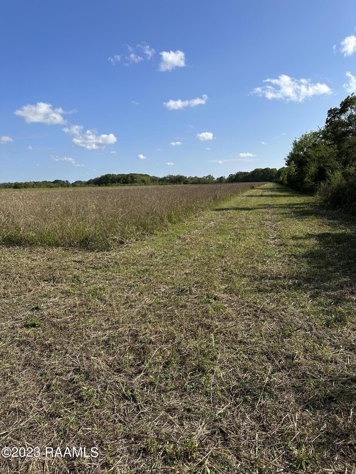 Tbd Tbd Trahan & Crochet Road New Iberia, LA 70563 - Photo 11 of 22 IMG_5386