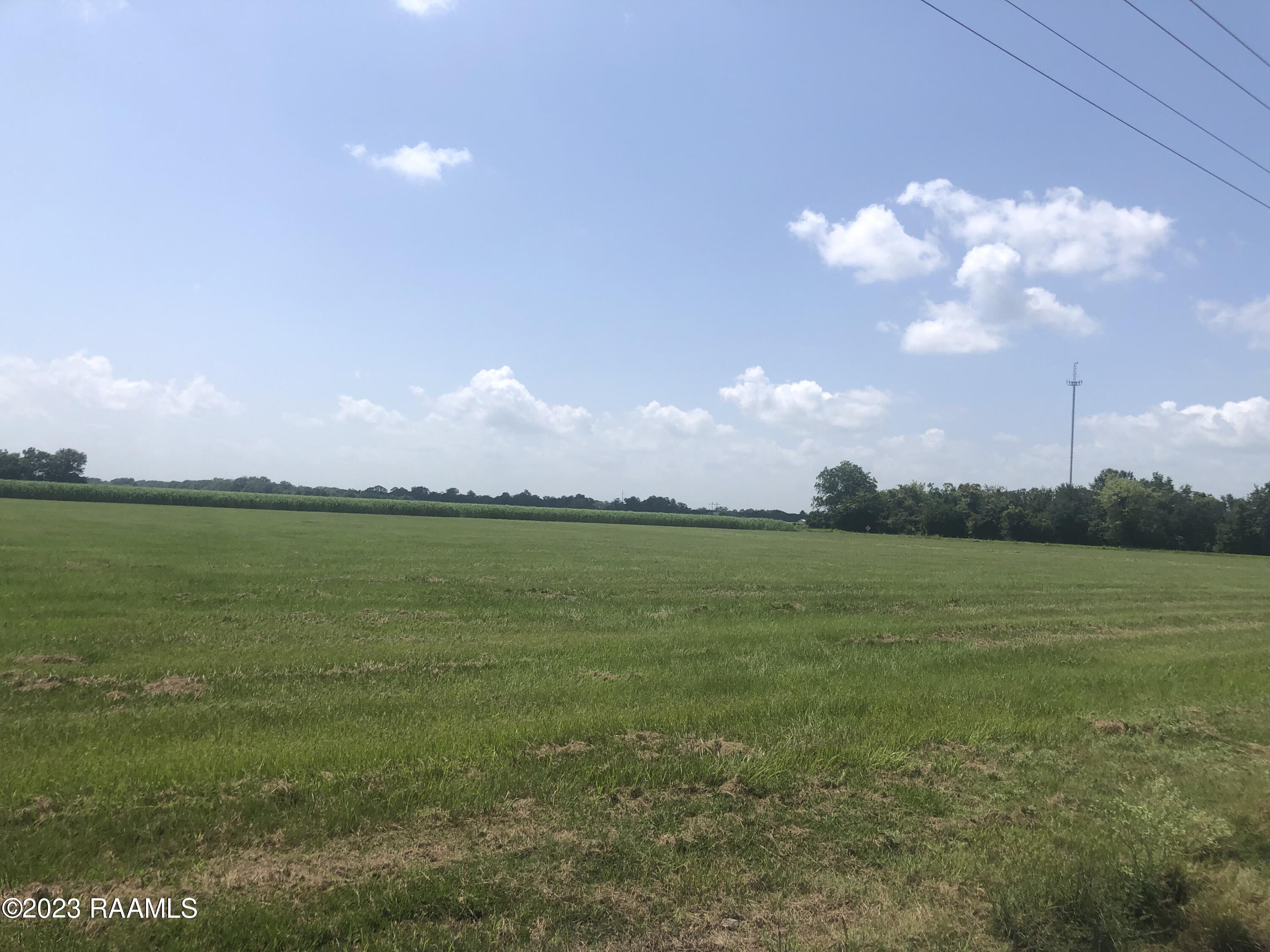 Tbd Tbd Trahan & Crochet Road New Iberia, LA 70563 - Photo 14 of 22 IMG_4405