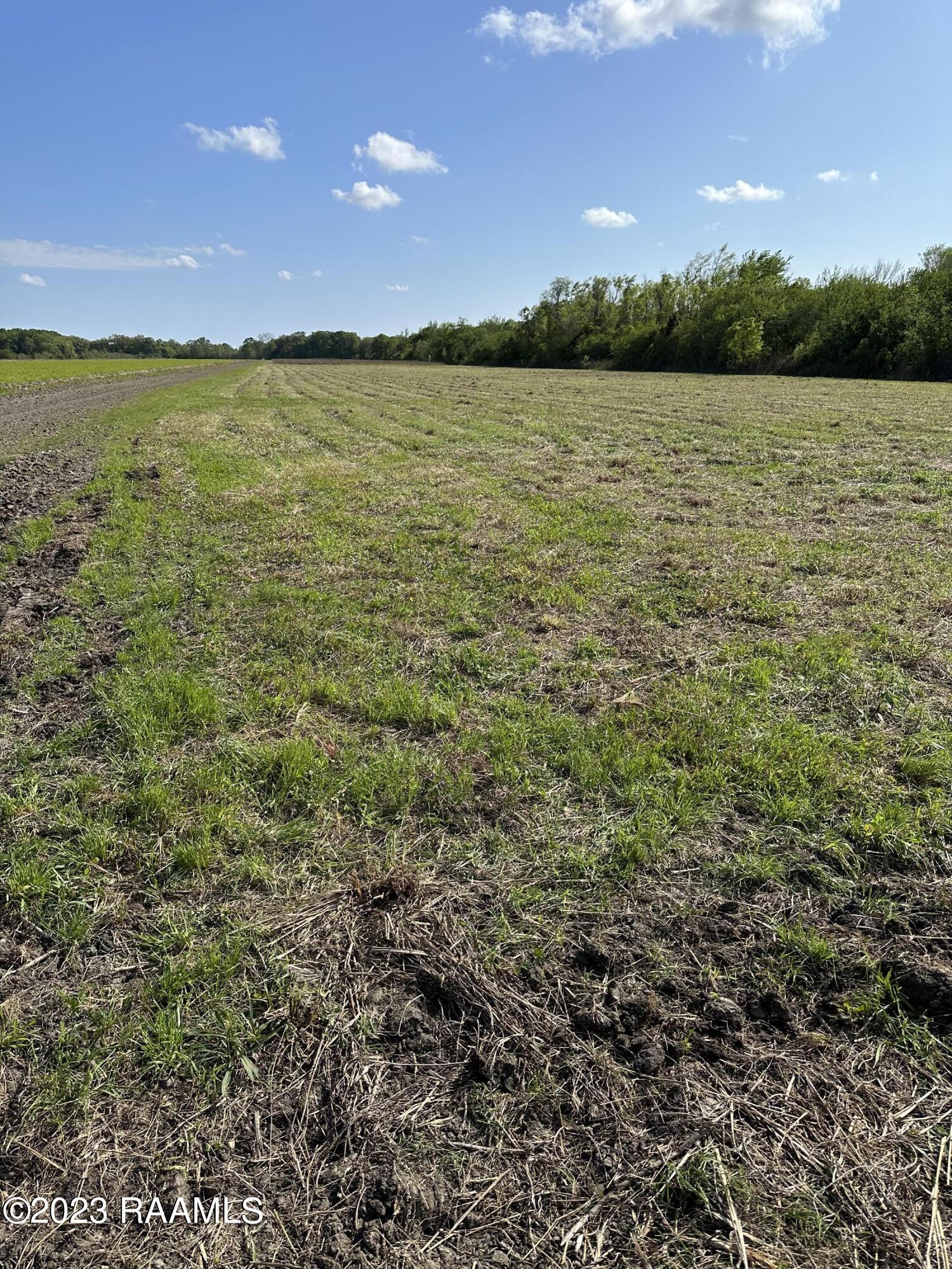 Tbd Tbd Trahan & Crochet Road New Iberia, LA 70563 - Photo 15 of 22 IMG_5382
