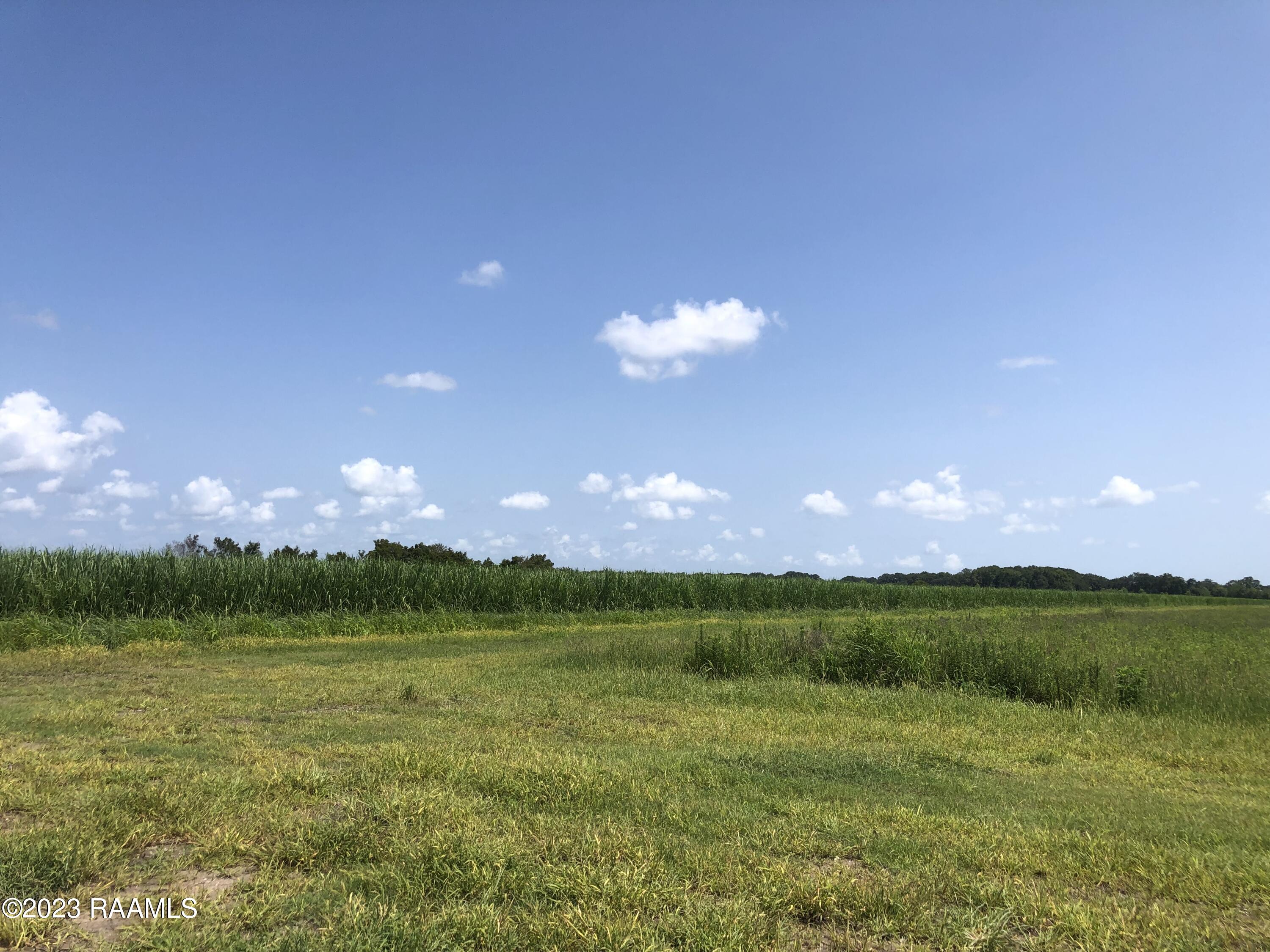 Tbd Tbd Trahan & Crochet Road New Iberia, LA 70563 - Photo 20 of 22 IMG_4414