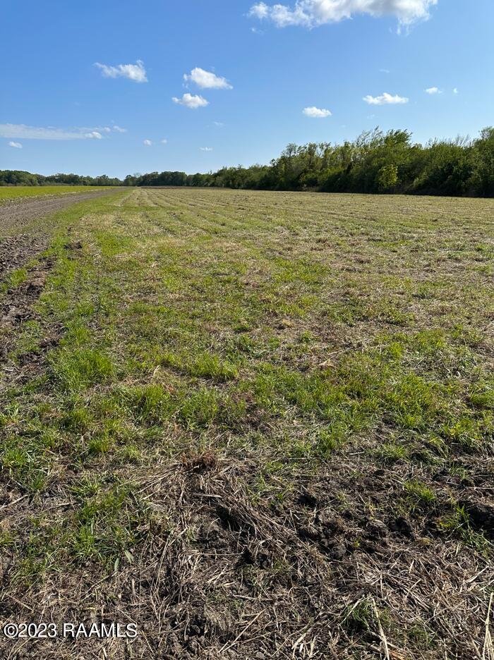 Tbd Tbd Trahan & Crochet Road New Iberia, LA 70563 - Photo 2 of 22 1