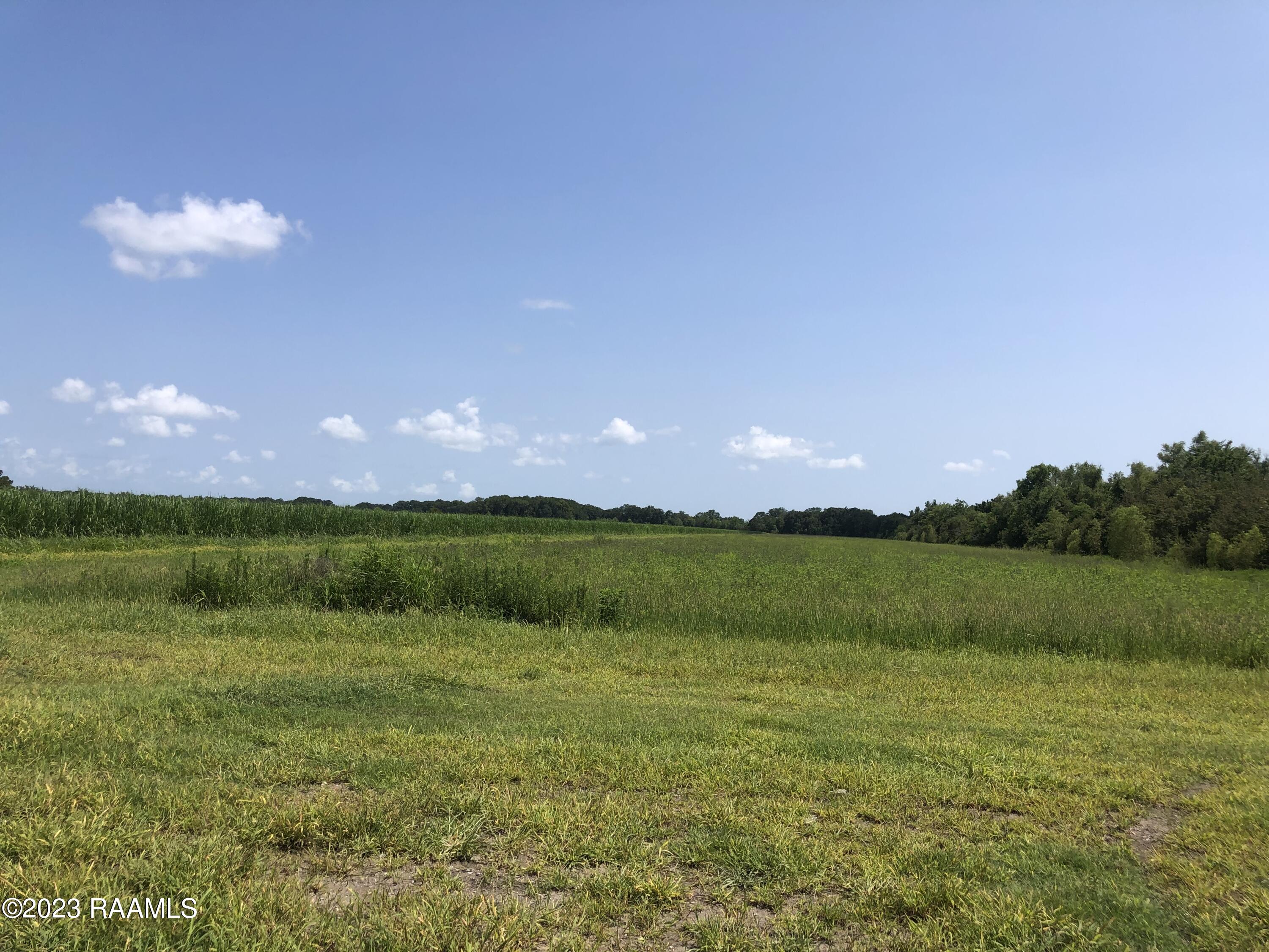 Tbd Tbd Trahan & Crochet Road New Iberia, LA 70563 - Photo 22 of 22 IMG_4412