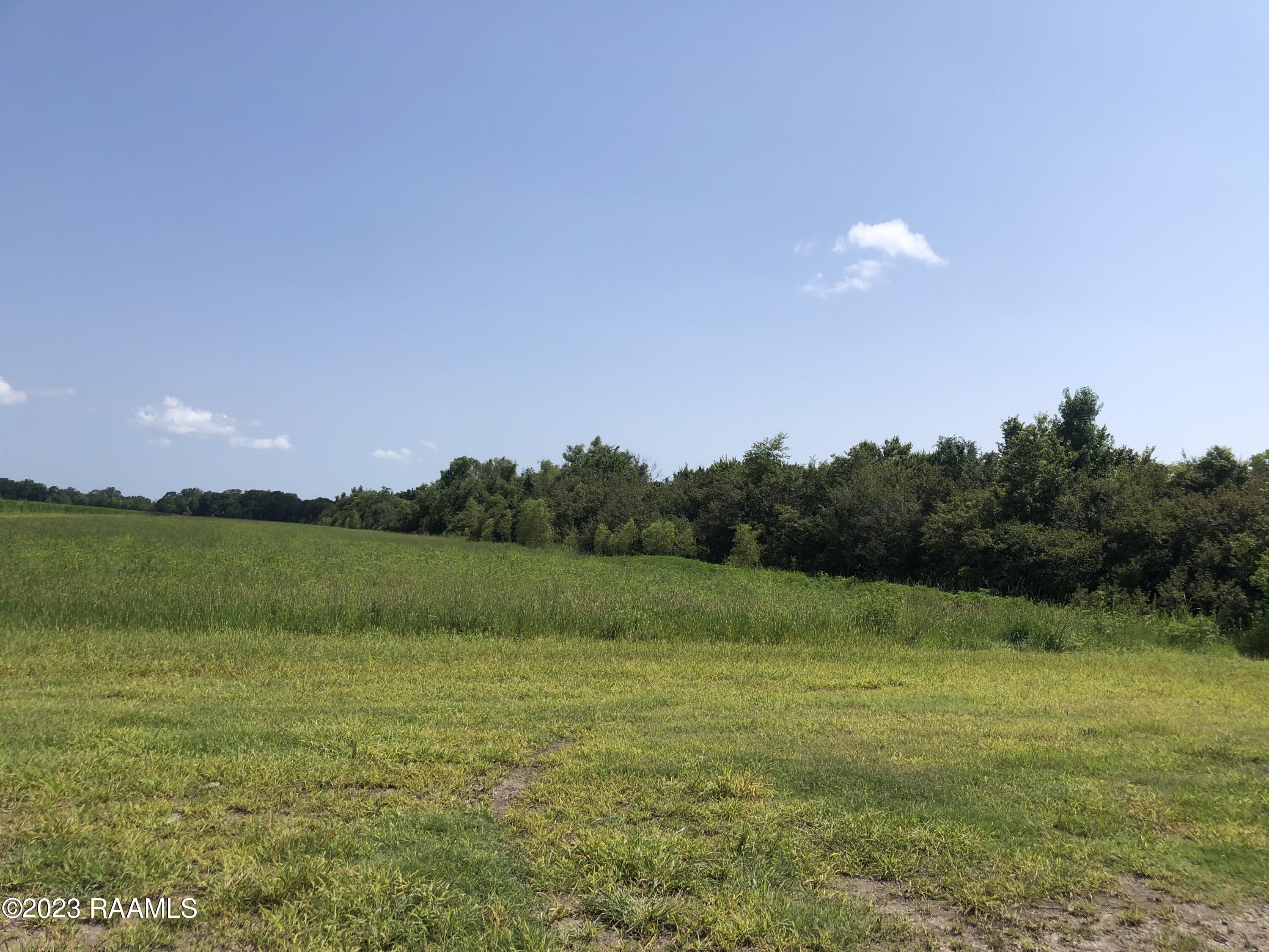 Tbd Tbd Trahan & Crochet Road New Iberia, LA 70563 - Photo 7 of 22 IMG_4413
