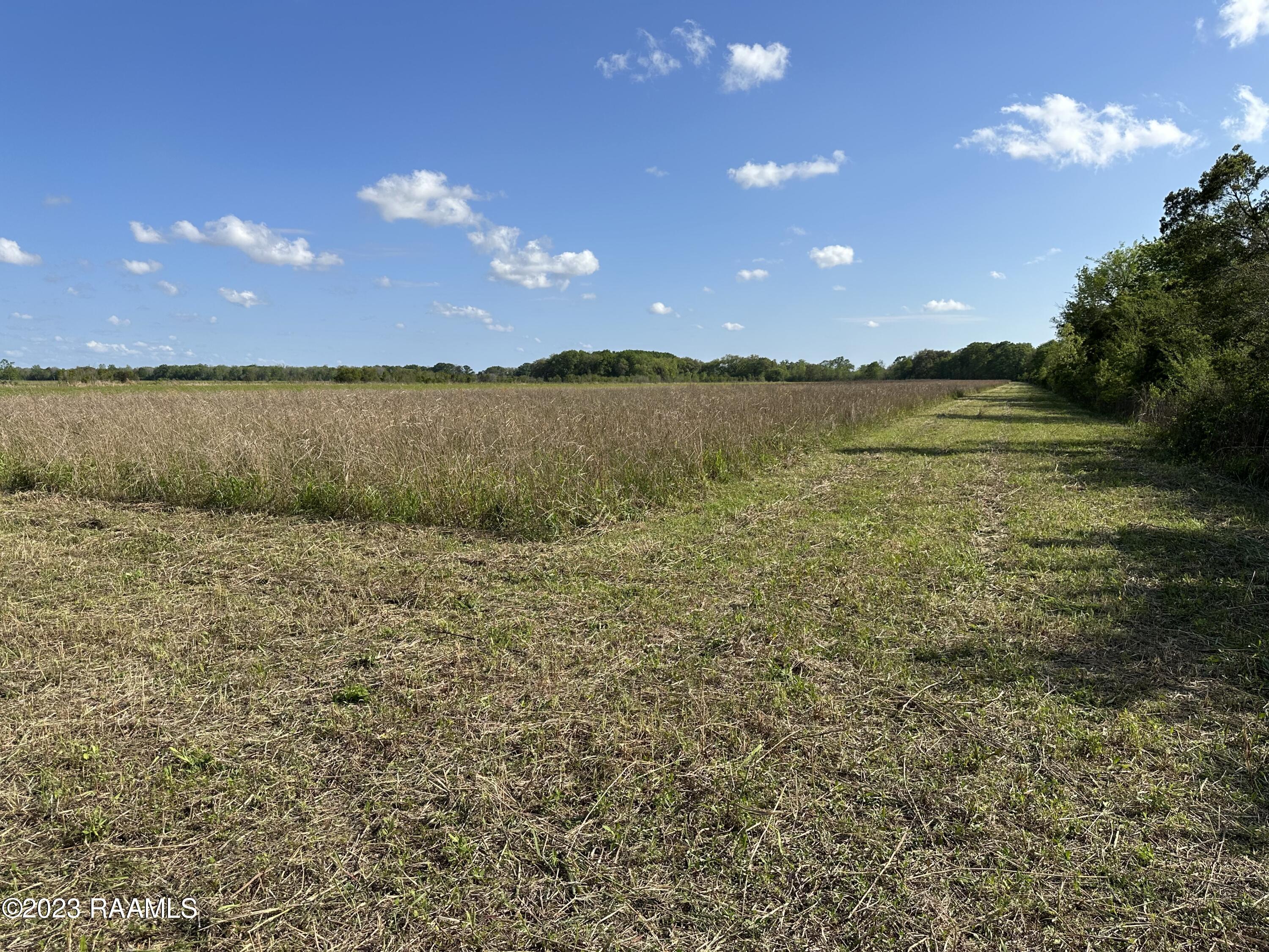 Tbd Tbd Trahan & Crochet Road New Iberia, LA 70563 - Photo 10 of 22 IMG_5385 (1)