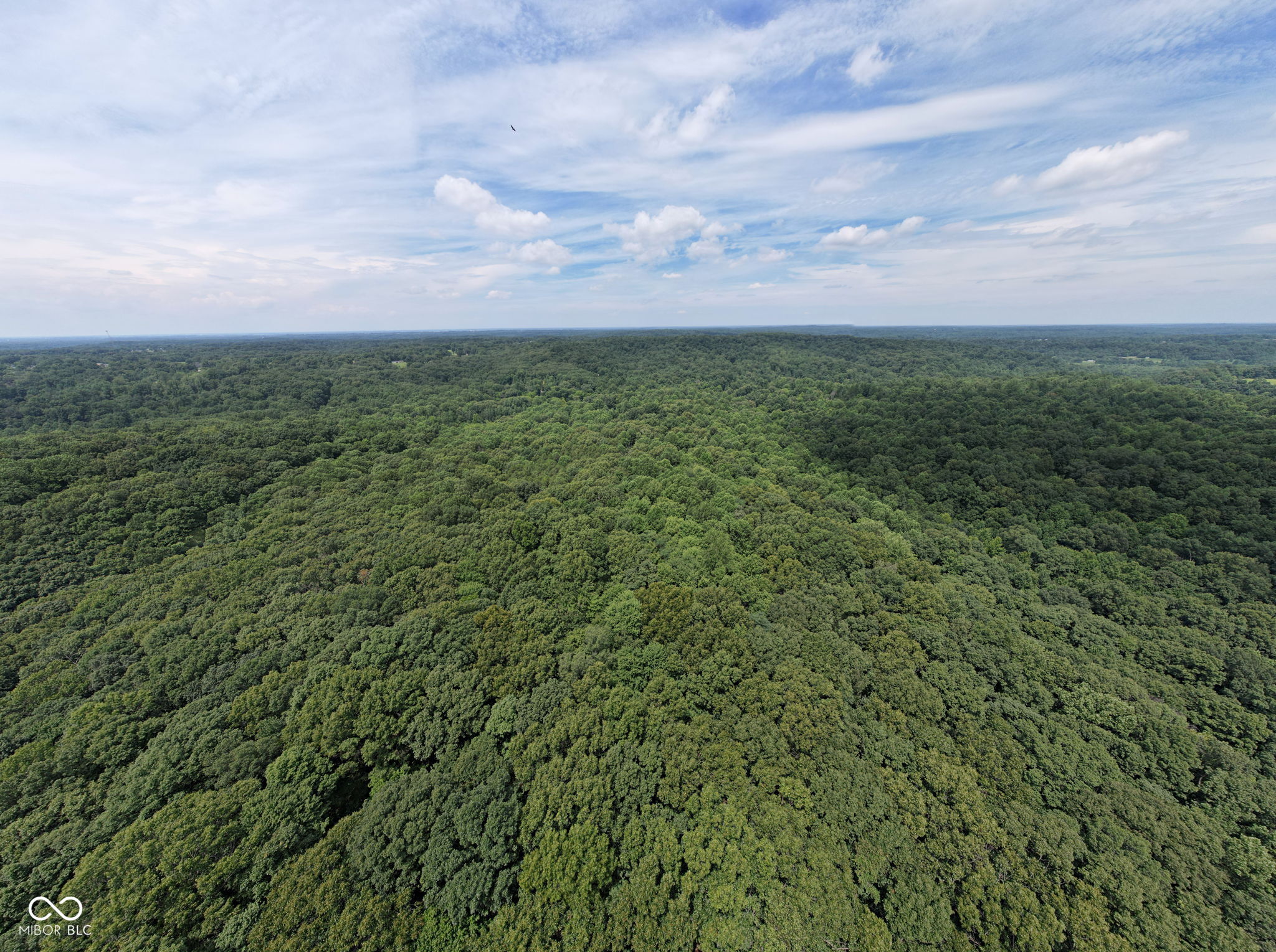 5538 East Washboard Road Bloomfield, IN 47424 - Photo 5 of 13