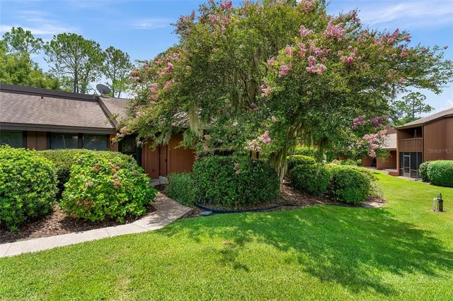 a view of a house with a big yard plants and large trees