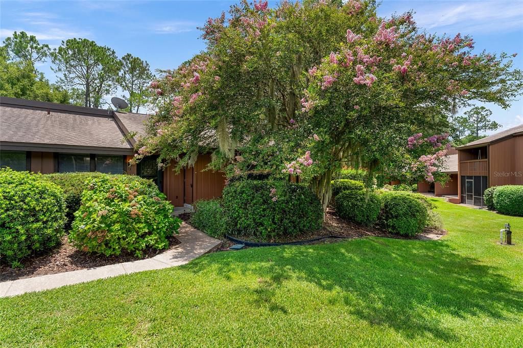 a view of a house with a big yard plants and large trees