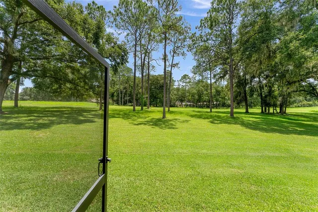 a big yard with trees in the background