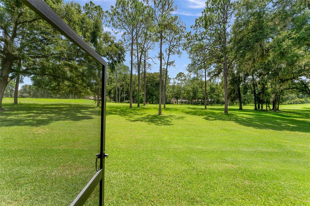 19660 Southwest 83rd Place Road, Unit C13 Dunnellon, FL 34432 - Photo 46 of 52 a view of a trees in a park