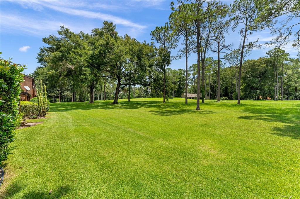 19660 Southwest 83rd Place Road, Unit C13 Dunnellon, FL 34432 - Photo 47 of 52 a big yard with trees in the background