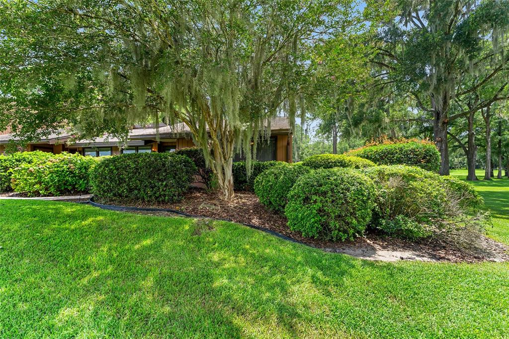 19660 Southwest 83rd Place Road, Unit C13 Dunnellon, FL 34432 - Photo 51 of 52 a view of a house with a backyard