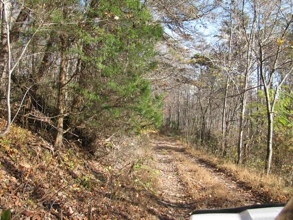462 Rock Ridge Road Callaway, VA 24067 - Photo 2 of 19 DRIVEWAY