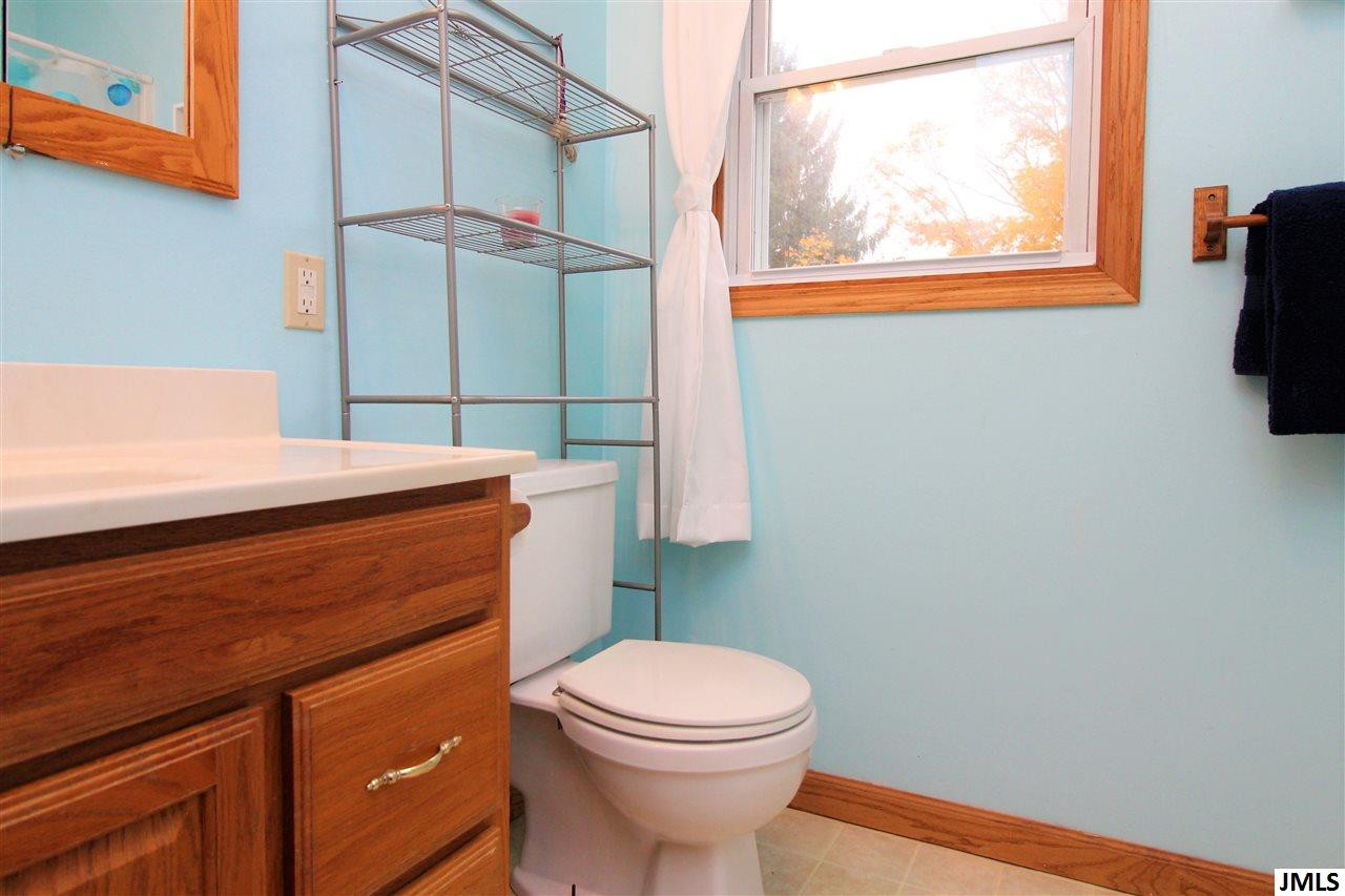 13824 Clinton Road Onondaga, MI 49264 - Photo 33 of 36 Photo 33