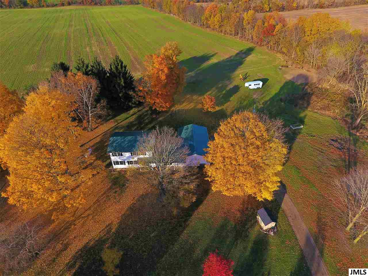 13824 Clinton Road Onondaga, MI 49264 - Photo 4 of 36 Photo 4