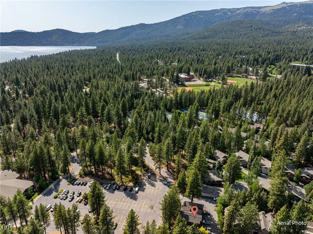 a view of a forest with a street