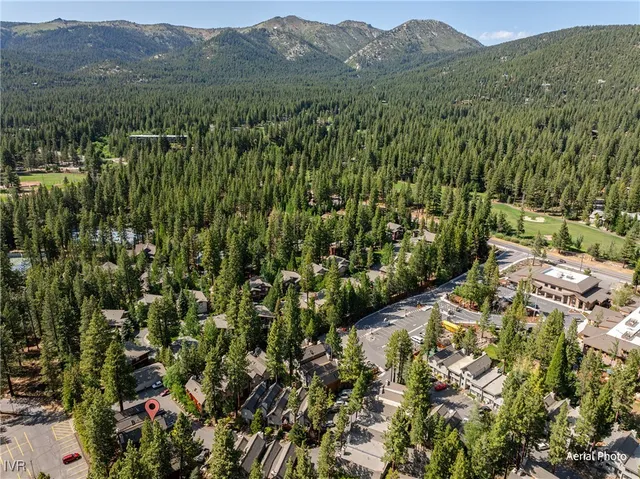 a view of a forest with a mountain